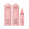 super-sized shine set mirrorball high shine + protect antioxidant shampoo + conditioner + flash mask