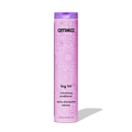 big hit volumizing conditioner - 9.2 oz / 275 ml