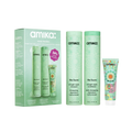 mane menders strength repair wash + care set