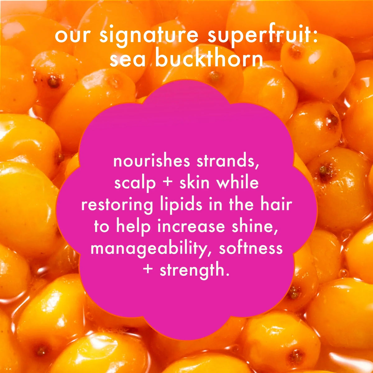 bust your brass cool blonde strength repair conditioner - 9.2 oz / 275 ml