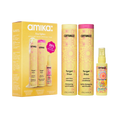 frizz fighters set anti-frizz shampoo, conditioner + treatment